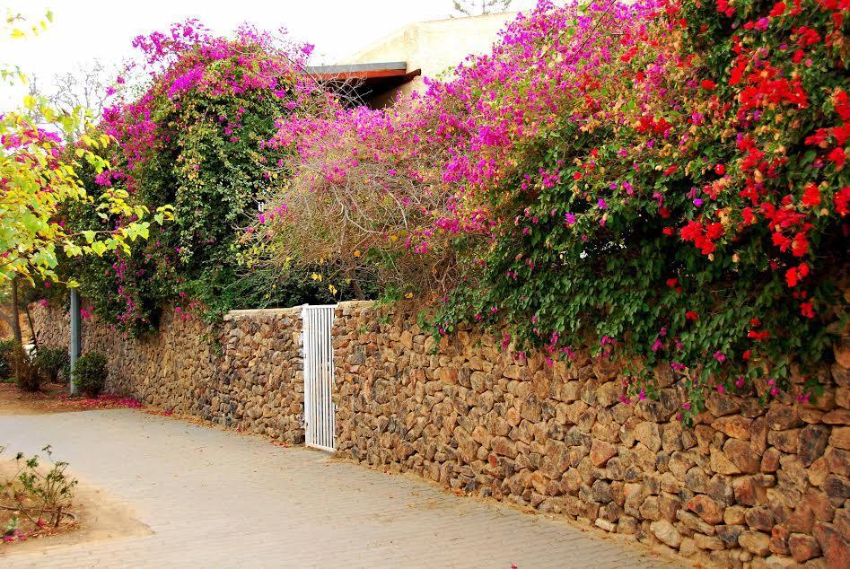 Lesanel - Guest House Arad Exteriér fotografie