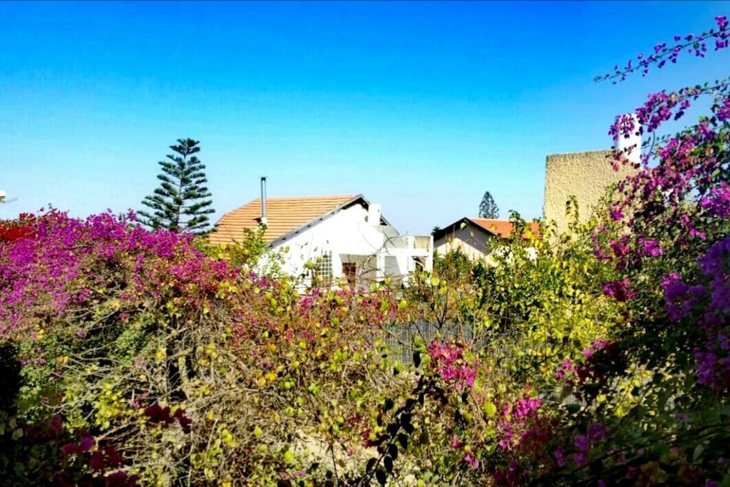 Lesanel - Guest House Arad Exteriér fotografie